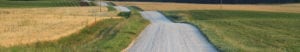 A dirt road in the middle of an open field.