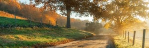 A dirt road in the middle of a field lined with trees during golden hour.