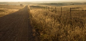 A dirt road in the middle of an open field at dusk.